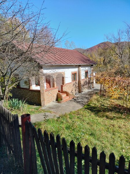 Iedera, Cricovul Dulce, proprietate de vanzare 90 mp, teren 2.450 mp