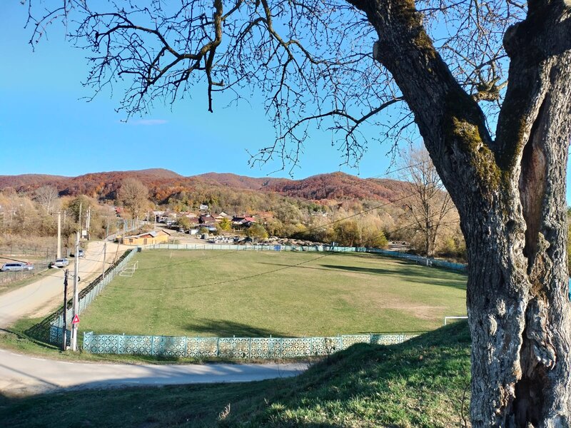 Iedera, Cricovul Dulce, proprietate de vanzare 90 mp, teren 2.450 mp